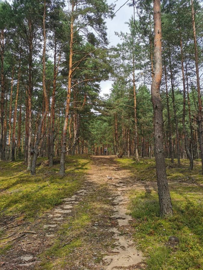 Lesniczowka Villa Rzadza Eksteriør bilde