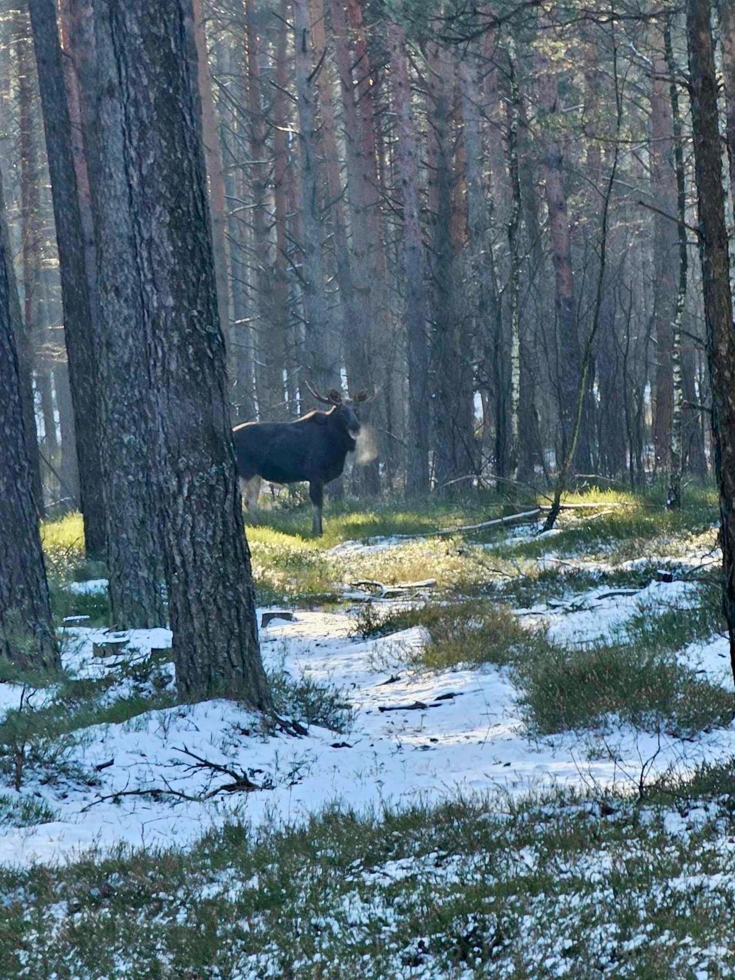 Lesniczowka Villa Rzadza Eksteriør bilde